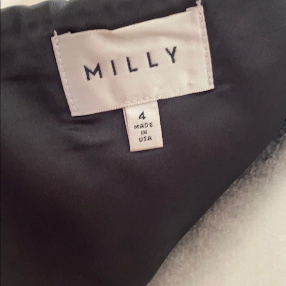 Milly Gown Size 4 - Picture 8 of 8